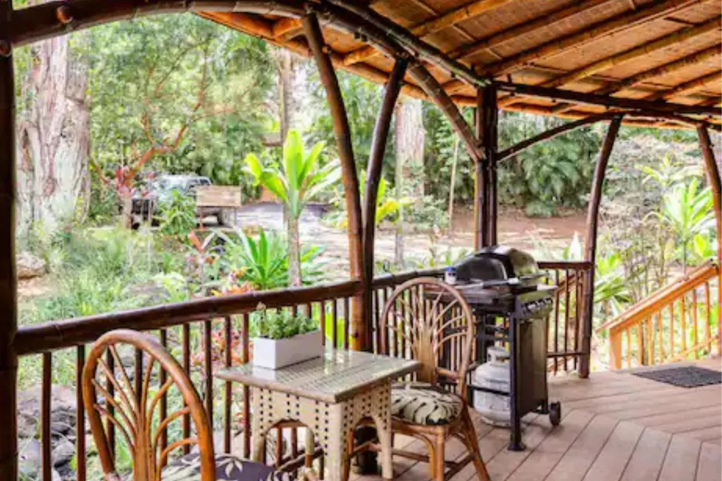 Hawaiian Dream Temple Apartment Kaupakulua United States